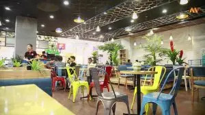trà sữa Pozaa