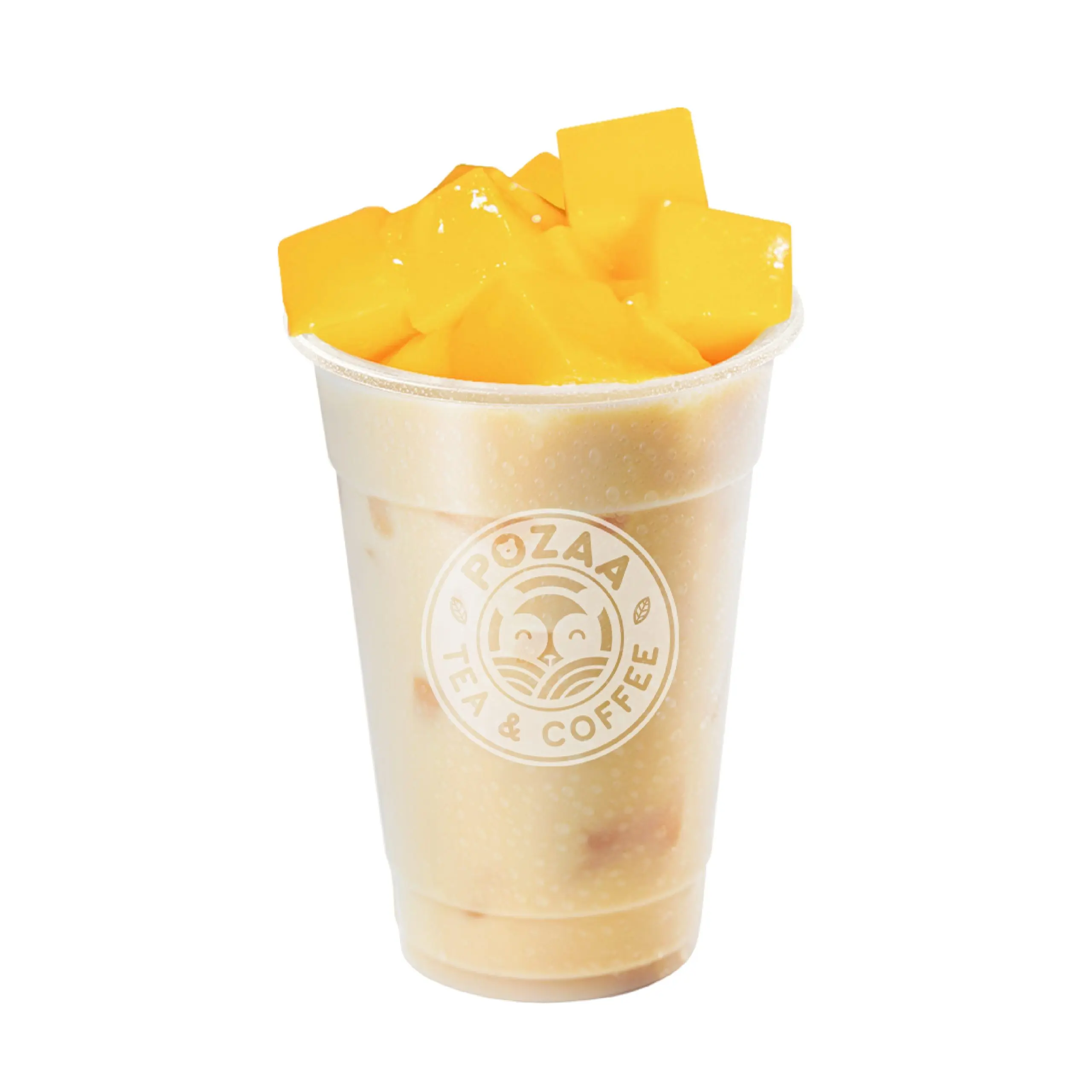 Hồng Đài Tuyết Mây Pudding