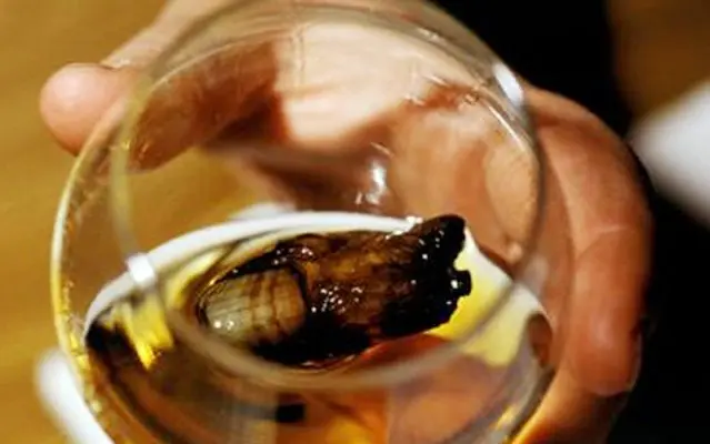 Cocktail ngón chân