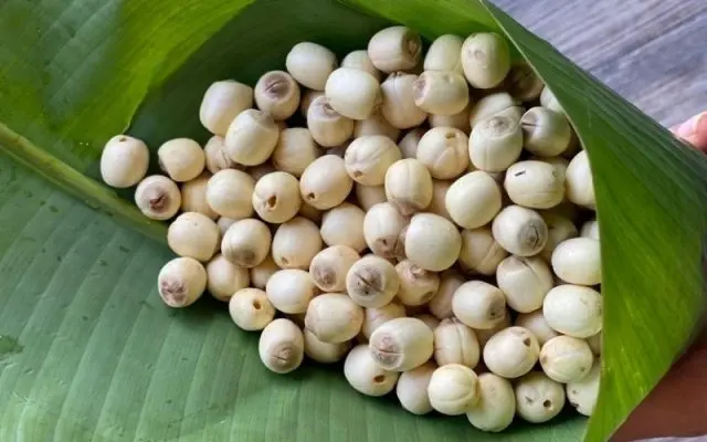 Nguyên liệu làm trà sen kem cheese