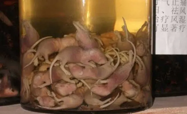 Rượu chuột
