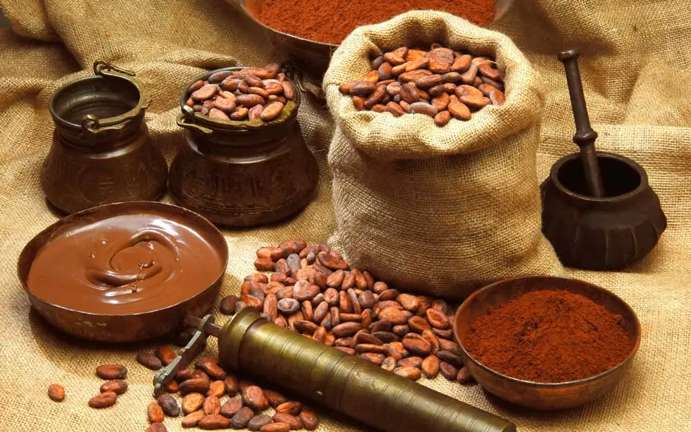 Tác dụng của cacao đối với cơ thể