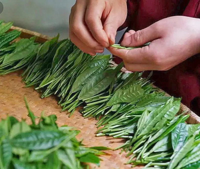 Trà đắt đỏ