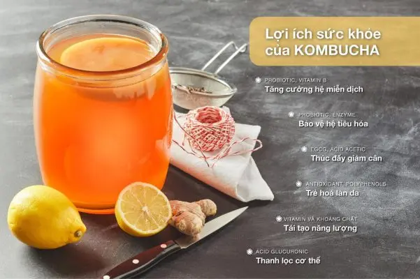Trà kompucha