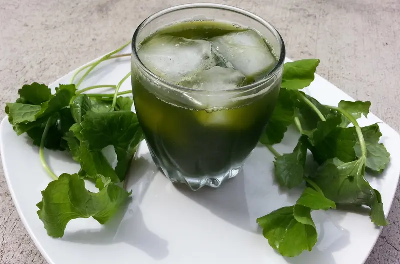 đồ uống mát gan