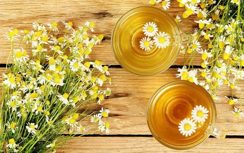 các loại trà tốt cho sức khoẻ